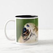 ワシントン州、米国2 ツートーンマグカップ (左)