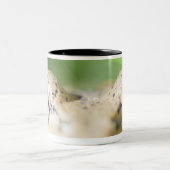 ワシントン州、米国2 ツートーンマグカップ (中央)