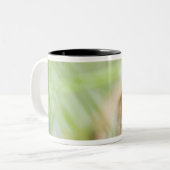 ワシントン州、米国 ツートーンマグカップ (正面左)