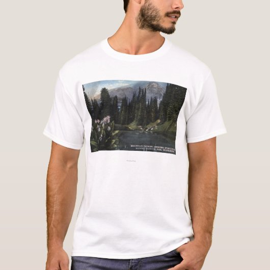 ワシントン州-雨の国立公園、撃つSta Tシャツ (正面)