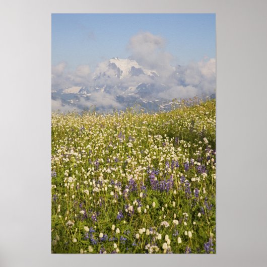 ワシントン州、Mt. Baker Wilderness、Mt. Shuksanと ポスター (正面)