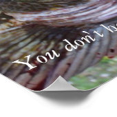 ワシントン海岸のリンタラのポスター。 ポスター (角)