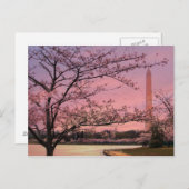 ワシントン記念塔の桜のフェスティバル ポストカード (正面/裏面)