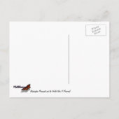 ワシントン記念碑とワシントンDCメモリアル ポストカード (裏面)