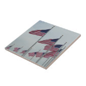 ワシントン記念碑のアメリカ国旗 タイル (側面)