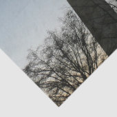 ワシントン記念碑の冬IIの風景 薄葉紙 (詳細)