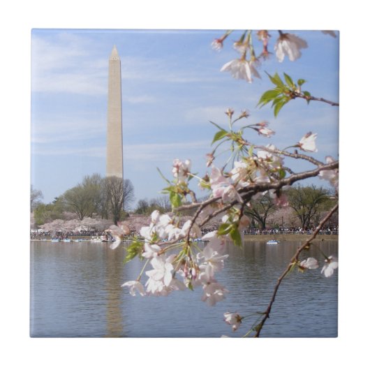 ワシントン記念碑の美しい贈り物 タイル (正面)