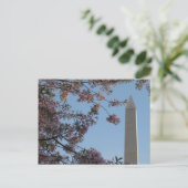 ワシントン記念碑 ポストカード (スタンド正面)