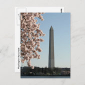 ワシントン記念碑 ポストカード (正面/裏面)