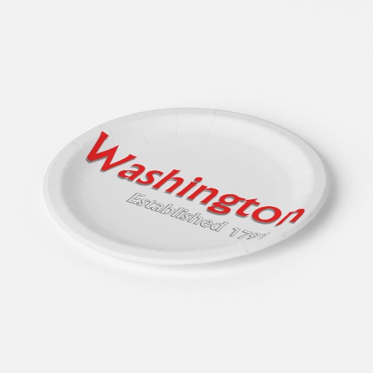 ワシントン設立テーマパーティー紙プレート ペーパープレート (アングル)