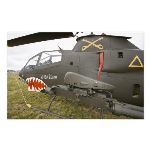 ワシントン、オリンピア、軍隊ショー。6 フォトプリント            (正面)