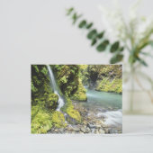 ワシントン、オリンピック国立公園、季節 ポストカード (スタンド正面)