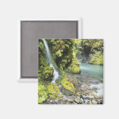 ワシントン、オリンピック国立公園、季節 マグネット (正面/裏面)