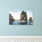 ワシントン – ケープフラット&タトオシュのビュー キャンバスプリント (インサイチュ (ウッドフロア))