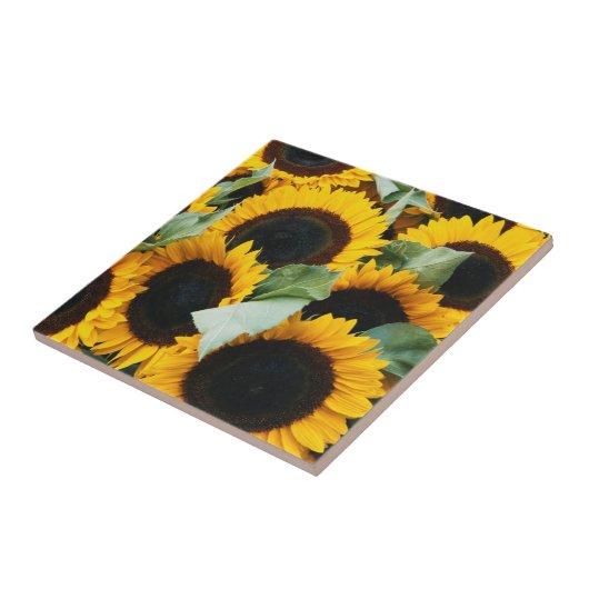 ワシントン、シアトル、ヒマワリが売り場 タイル (側面)