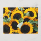 ワシントン、シアトル、ヒマワリが売り場 ポストカード (正面)