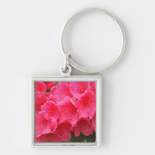 ワシントン、シアトル、ピュージェットサウンド、ディスカバリーパーク キーホルダー (正面)