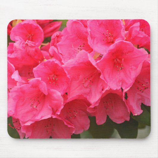 ワシントン、シアトル、ピュージェットサウンド、ディスカバリーパーク マウスパッド (正面)