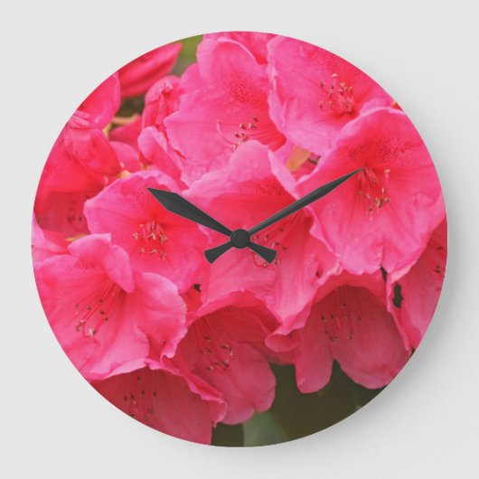 ワシントン、シアトル、ピュージェットサウンド、ディスカバリーパーク ラージ壁時計 (正面)