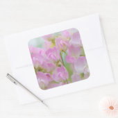 ワシントン、シーベック。スイートピー詳細 スクエアシール (封筒)