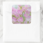 ワシントン、シーベック。スイートピー詳細 スクエアシール (バッグ)