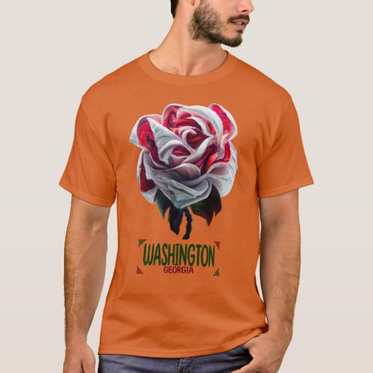 ワシントン ジョージア オーバーサイズ Tシャツ (正面)