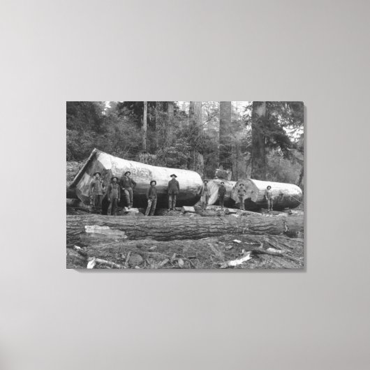 ワシントン・スタットのカスケードにおける蒸気伐採 キャンバスプリント (正面)