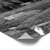 ワシントン・スタットのカスケードにおける蒸気伐採 ポスター (角)