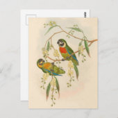 ワシントン, ビンテージ, 鳥のイラスト, ボヘミアンポスト ポストカード (正面/裏面)