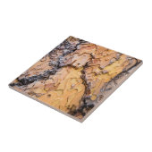 ワシントン·ポンデロサ·パイン·バーク タイル (側面)