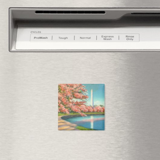 ワシントン マグネット (インサイチュ (食洗機))