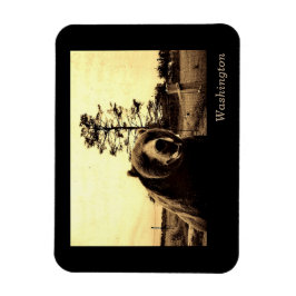 ワシントン マグネット