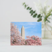 ワシントン・モニュメント ポストカード (スタンド正面)
