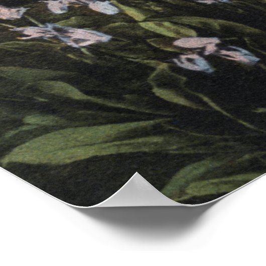 ワシントン – レイニエ国立公園射撃、 発砲駅 ポスター (角)