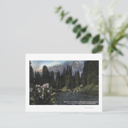 ワシントン – レイニエ国立公園射撃、 発砲駅 ポストカード (スタンド正面)