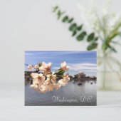 ワシントンD.C.さくらんぼ花葉書 ポストカード (スタンド正面)