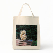 ワシントンD.C.で幸せなリス