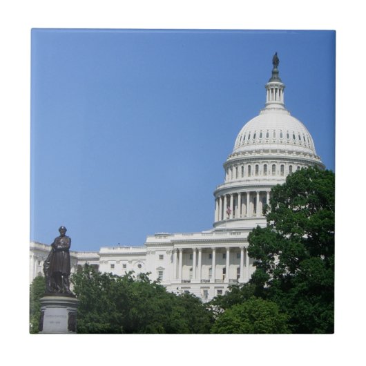 ワシントンD.C.の国会議事堂 タイル (正面)