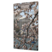 ワシントンD.C.の桜の花 クリップボード (左)