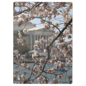 ワシントンD.C.の桜の花 クリップボード (裏面)