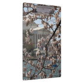 ワシントンD.C.の桜の花 クリップボード (右)