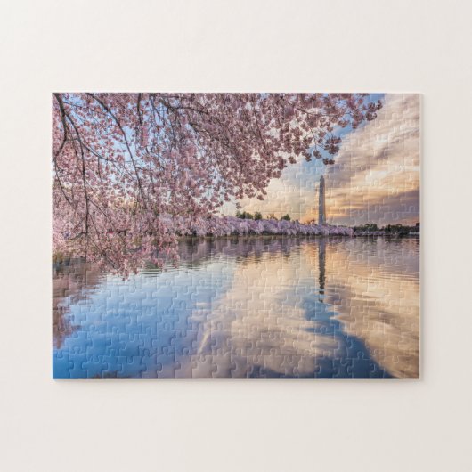 ワシントンD.C.の桜 ジグソーパズル (横)
