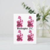 ワシントンD.C.の桜 ポストカード (スタンド正面)
