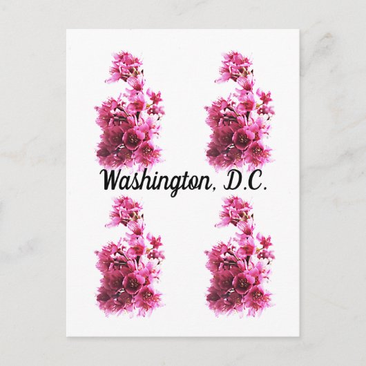 ワシントンD.C.の桜 ポストカード (正面)