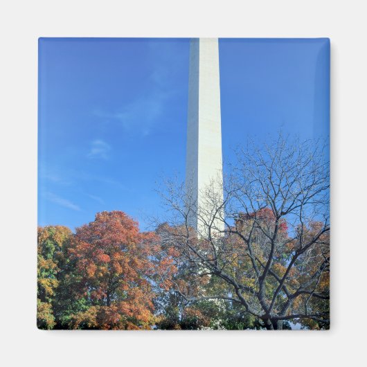 ワシントンD.C.アメリカワシントン記念碑が建つ マグネット (正面)