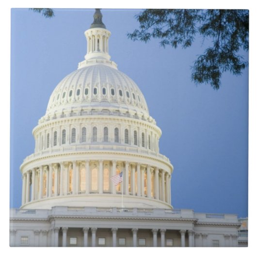 ワシントンD.C. (コロンビア特別区) の夕暮れ時のアメリカ合衆国議会議事堂 タイル (正面)