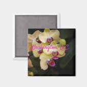 ワシントンD.C.ピンクと黄色のラン。 マグネット (正面/裏面)
