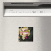 ワシントンD.C.ピンクと黄色のラン。 マグネット (インサイチュ (食洗機))