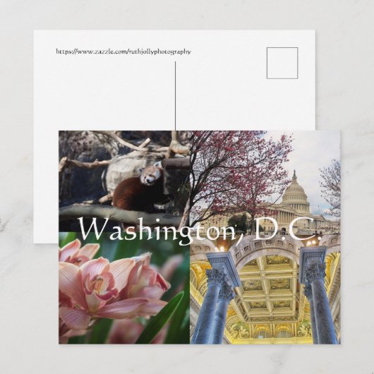 ワシントンD.C. ポストカード (正面/裏面)