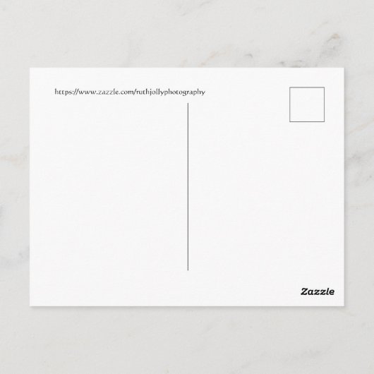 ワシントンD.C. ポストカード (裏面)